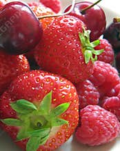 Fruit