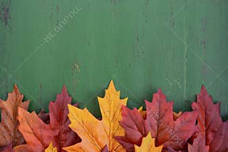 Autumn Fall Rustic Wood Background.