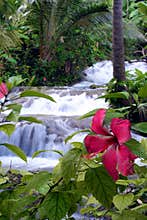 Tropical waterfall