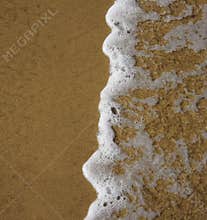 Frothy ocean wave on a sandy beach