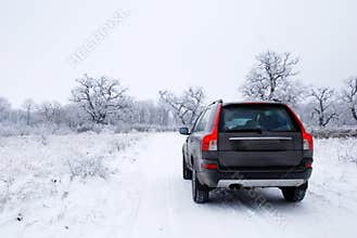 Winter car