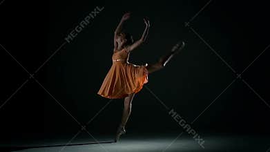Cute girl ballerina in dress large hall. slow
