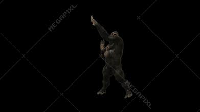 Gorilla Funny Hip Hop Street Dance 4