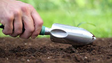 Hands planting a seedling in the ground