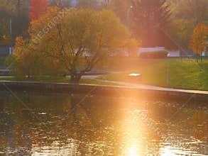 Fall background - sunset Stock Photos