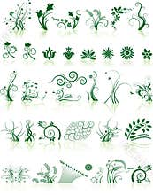 Collection of floral designs