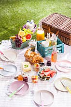 Delicious healthy summer picnic on the grass