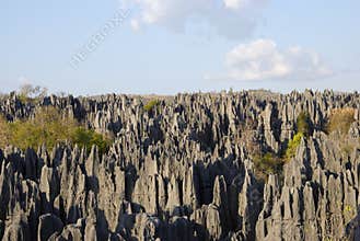 Tsingy de Bemaraha National Park. Unesco World Heritage