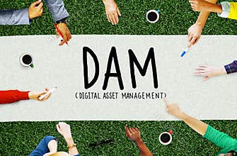 DAM Digital Asset Management Organization Concept