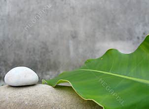 Zen still life - Natural SPA