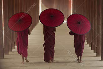 Buddhist monk