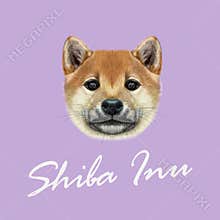 Vector Illustrated portrait of Shiba Inu Dog.