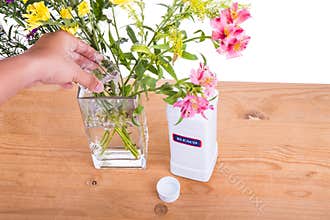 Add liquid bleach into vase with water to keep flowers fresher