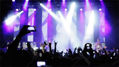 People at rock concert.