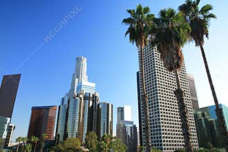 Los Angeles skyline and palm trees