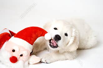 Chewing on santa