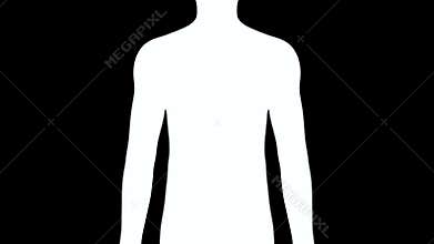 Xray scan internal orans