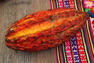 Cacao