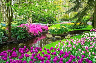 Beautiful spring flowers near pond in Keukenhof park in Netherlands