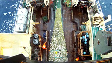 Raising of a full net on the fishing trawler. Fishing of a cod. GoPro.