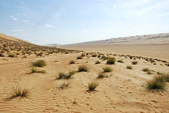 Landscape of Empty Quarter, Rub al Khali Desert