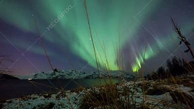 Coastal Aurora borealis over Norway