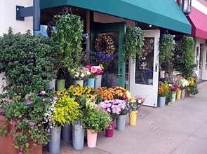 Flower shop