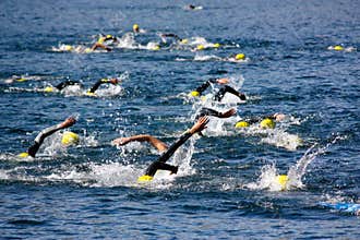 Cusio Cup, Olympic Triathlon