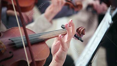 Women playing stringed instruments violin, cello