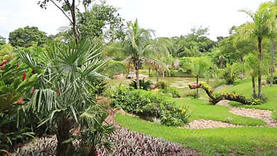 Tropical garden in Santa Cruz, Bolivia