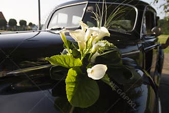 Wedding car