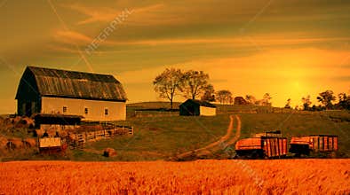 farm
