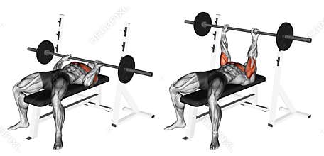 Exercising. Close-Grip Barbell Bench Press