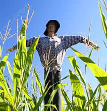 Scarecrow