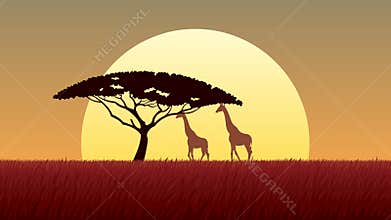 African Landscape Sunset