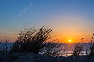 Sunset on atlantic ocean, beach grass silhouette in France