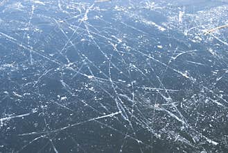 Ice Rink Texture