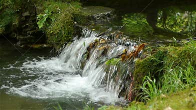 Waterfall at Canon Castle garden, France