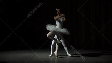 Ballet Dancers Posing On Stage