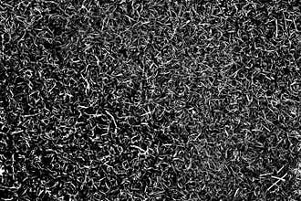 Photograph monochrome black and white grass field background, texture, pattern