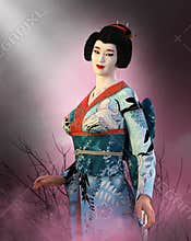 Japanese Geisha Girl, Japan Woman