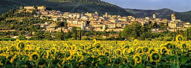 Spello Umbria Italy