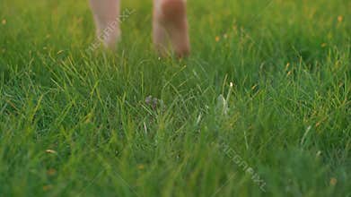 Barefoot Woman Seen By Feet Only Walks On Green Grass