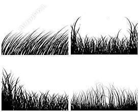 Set of grass backgrounds