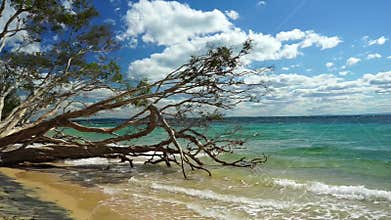 Amazing Tropical Holidays
