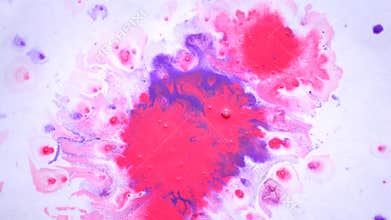 Purple, yellow and pink spots spread out on white paper