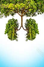 Green tree lungs