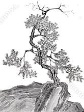 Tree on mountain Chinese drawing