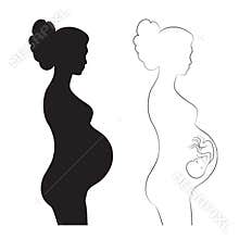 Pregnant woman with fetus. Beautiful pregnant woman with embryo.