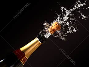 Champagne bottle eruption